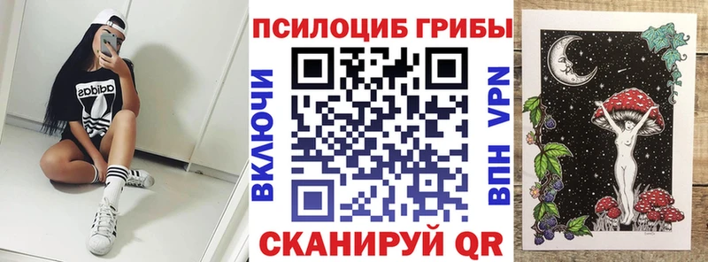 Псилоцибиновые грибы Cubensis  Пудож 